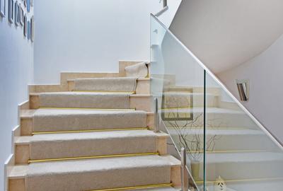 Vila individuala de inchiriat 5 camere renovata complet, zona Iancu Nicolae - Jo - 22