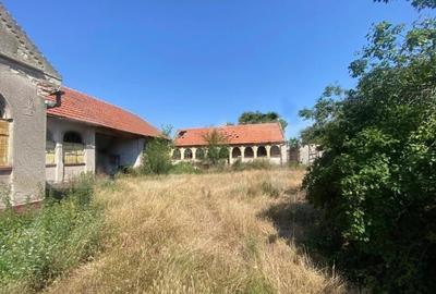 🏡 TEREN INTRAVILAN DE VÂNZARE – CHEVEREȘU MARE 🌳 - 2