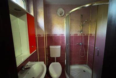 Casa Individuala P+1+M cu lac, sauna si piscina. Pretabil Azil de Batrani - 17