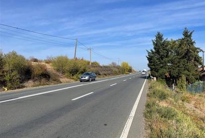 TEREN | 5682MP | LA INTRARE IN LES | ACCES DIN DN79 | BIHOR - 1