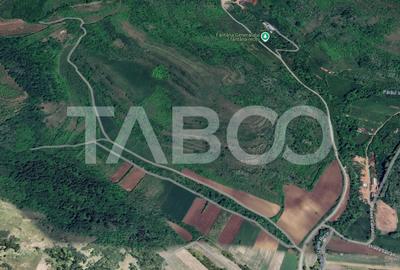 Teren agricol extravilan de 10000 mp, în Gușterița