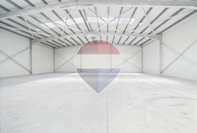 Hala spațiu industrial modern de închiriat - 2