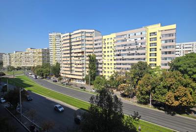 Piata Delfinului/soseaua Pantelimon,stradal - 8