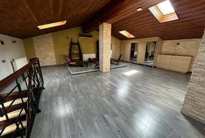 Vila superbă Pipera 450 mp. - 18