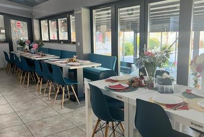 SPATIU PETRECERI PRIVATE 360MP+TERASA+   PISCINA , TEREN 2000M - 12