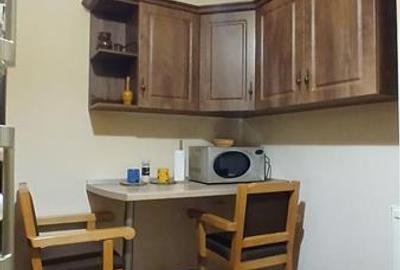 Apartament spatios  in Vila 2  camere Vatra Luminoasa - 7