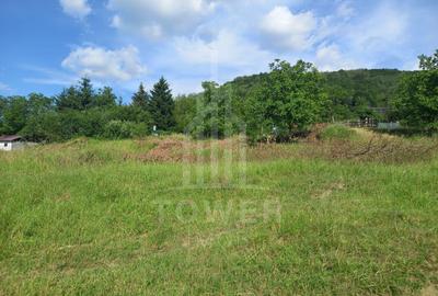 Teren în Fântânele – 3.673 mp, pârâu si cadru natural  deosebit - 6