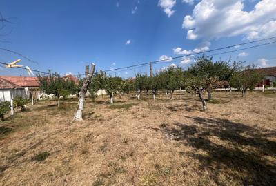 Teren agricol intravilan de 1000 mp, în Tileagd