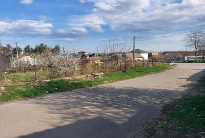 Casa 2 corpuri - Ovidiu - 110.000 euro  (Cod E2) - 7