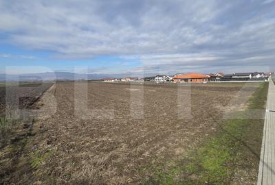Teren Construcții intravilan de 14300 mp, în Ciugud