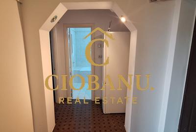 Apartament de inchiriat zona Calea Bucuresti-Piata Mare - 6