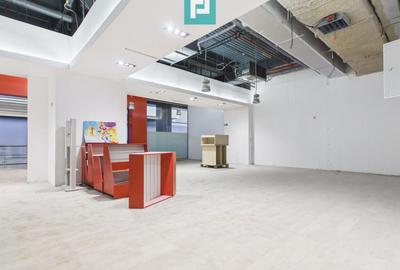 Spațiu comercial premium 220mp Agora Arad - 10