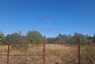 GHERTENIȘ\ CASĂ 3 CAMERE  TEREN 4636 MP\ COMISION 0% - 18