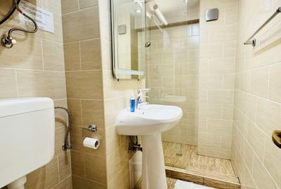 Apartament frumos amenajat cu  4 camere in Decebal-Metrou Muncii - 21