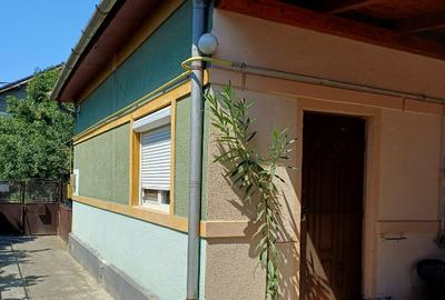 Casă individuală cu 3 camere în Crișan