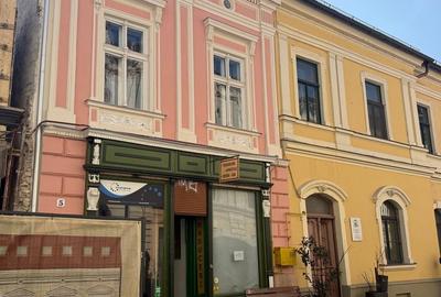 Bijuterie arhitecturală în inima Timișoarei – clădire monument istoric - 7
