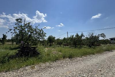 Teren intravilan parcelabil de vanzare – Cocosesti, comuna Paulesti  Va oferim - 2