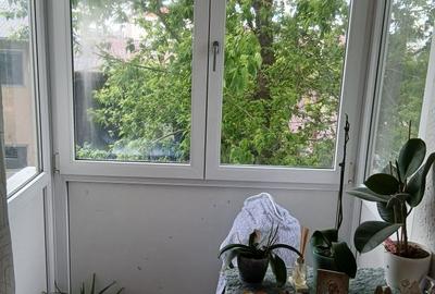 3Camere Salaj Aleea Imasului - 5