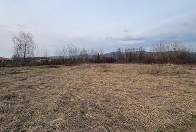 Teren agricol intravilan de 10000 mp, în Merișor