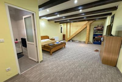 Casă de vanzare 6 camere 220 m² utili cu 376 M² teren la șosea - 5
