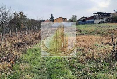Casă individuală Plopi, 75 mp, teren 1.365 mp, 2 corpuri - 3