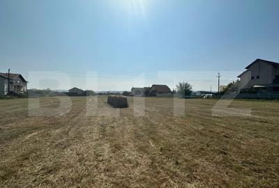 Teren Construcții intravilan de 9873 mp, în Cetate
