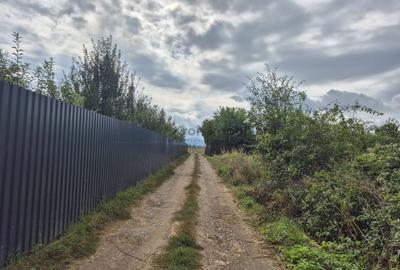 Teren intravilan Sânpetru – Livada - 6