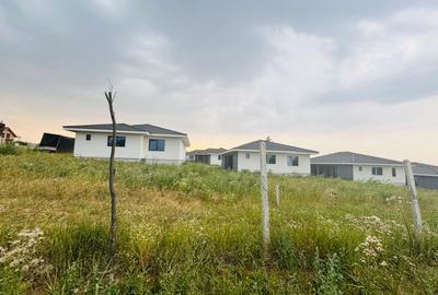 Teren intravilan de vânzare Paleu, zona Piersicilor langa padure - 2