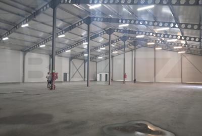 Spațiu industrial, de 1,260.00 mp, în Cristești
