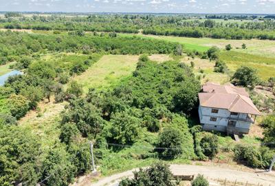 Curte 3200 mp Bolintin Vale, intravilan, intre case - 17