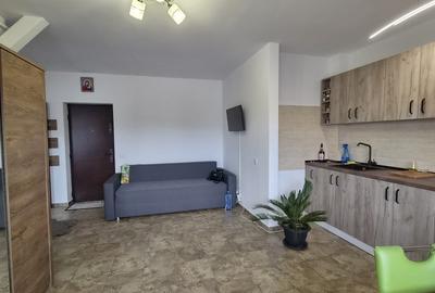 Apartament 2 Camere Decomandat Dudu, Apeductului,  Mobilat și Utilat - 11