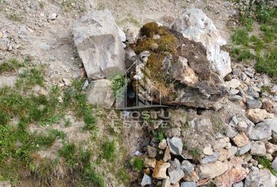 Oportunitate! Domeniu montan, cu lac propriu, oras Lupeni, Hunedoara - 35