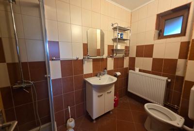 Vand casa singur in curte cu garaj, pod si foisor Sanpetru-Bod - 21