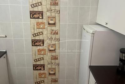 Apartament cu 2 camere -Sala Palatului-str. Ion Campineanu 23. Pet friendly. - 14