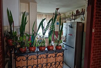 Ap 4 camere |Balcon |Zona Manastur-Parâng/McDonald’s/Petrom - 4