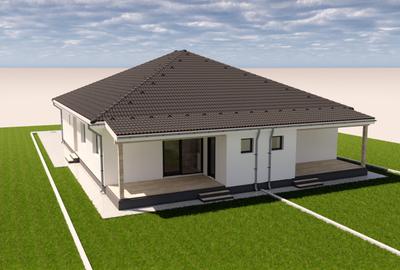 Duplex pe parter în Șag, 3 dormitoare, 0% comision - 7