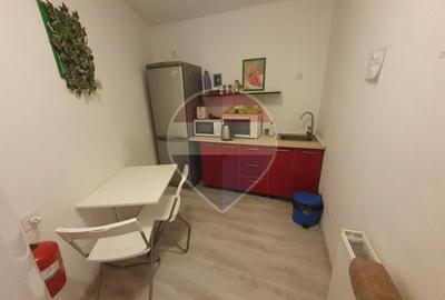 Apartament 4 camere zona Piata Unirii-Centrul Istoric - 10