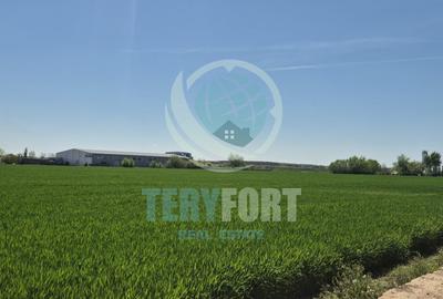 Teren intravilan- hale depozitare, industrie , servicii, comert- A 0 -  Afumați - 11