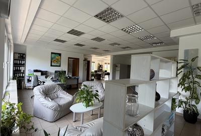 Apartament 237 mp  Barbu Văcărescu – Tei | Vedere Parcul Circului | Garaj - 4