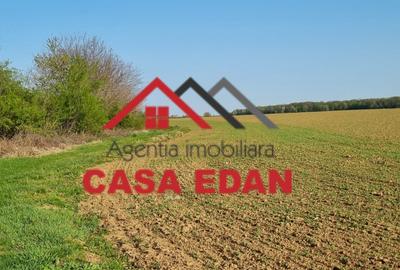 Teren agricol extravilan de 5000 mp, în Urleta