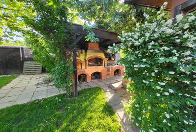CASA P+1 ÎN BALOȚEȘTI – LÂNGĂ PĂDURE, TEREN 700 MP, LIVADĂ, CRAMĂ, BECI ȘI CURTE - 20
