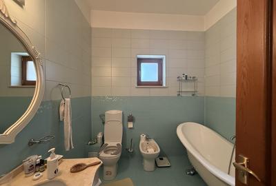 Conac neoromânesc în stil brâncovenesc | 600 mp utili | Domeniu de 2.400 mp - 31