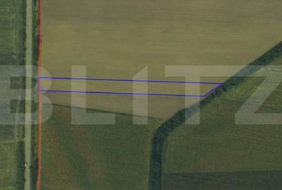 Teren agricol extravilan de 4400 mp, în Lazuri