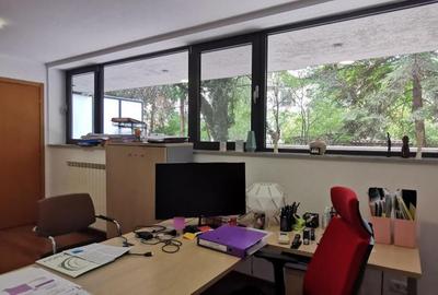 Primaverii Herastrau Office exclusivist 235mp, parcare - 14
