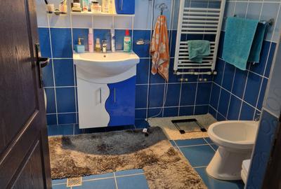 Casa P+E+Pod situata in Catamarasti Deal , 504 mp teren , mobilata - 5