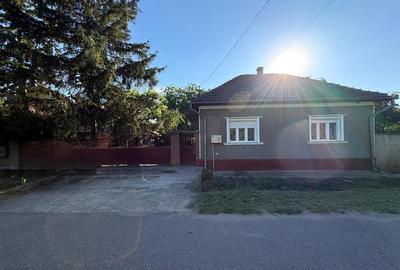 CASA PLAN PARTER | TEREN 620 MP | ACCES AUTO | ZONA SANTAUL MARE | BIHOR - 24