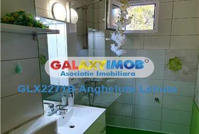 Drumul Taberei Raul Doamnei apartament 2 camere de inchiriat - 11