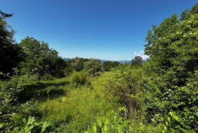 Teren doua loturi 3100 mp. - 2800 mp. Dăesti - Valcea - 15