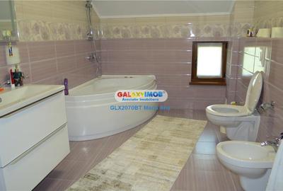 OPORTUNITATE DE INVESTITIE CASA P+M, TEREN 10.000 MP. HUTANI, VLADENI - 40