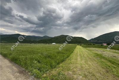 Teren intravilan de 3477 mp cu deschidere de 35 m in Boita - 7